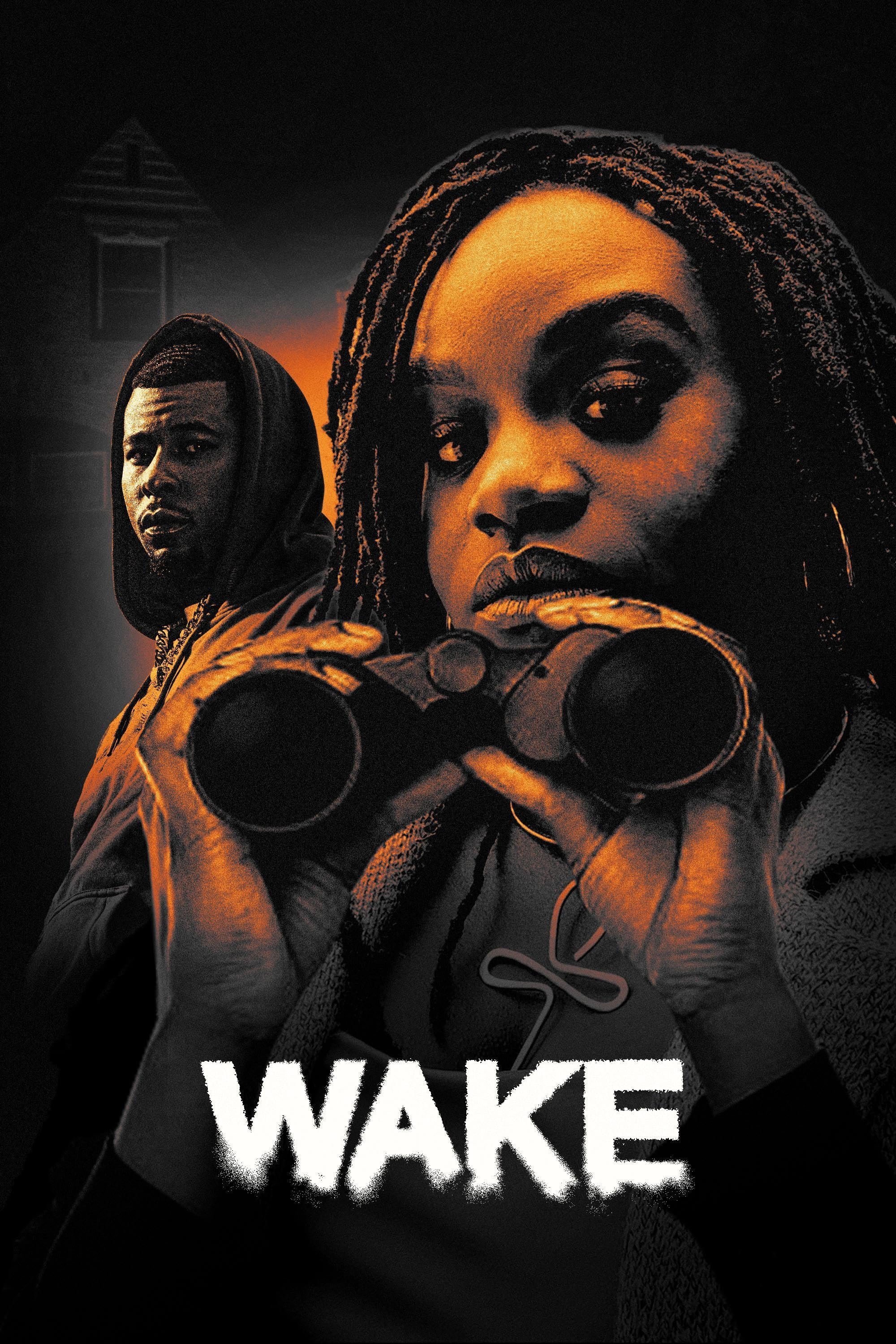 Постер Wake